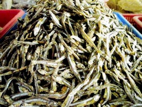 Đa dạng món cá cơm