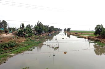 Có một dòng kinh mang tên cố Thủ tướng Võ Văn Kiệt