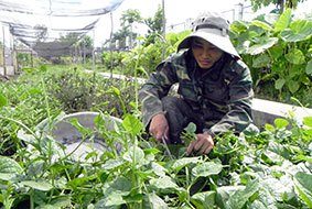 Noi gương Bác, nhiệm vụ nào cũng hoàn thành