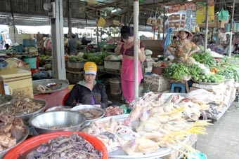 Nỗ lực ngăn chặn dịch cúm gia cầm lây lan