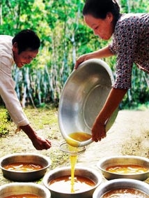 Cà Mau: Mật ong rừng tràm xác lập giá mới