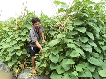 Dồn sức cho tiêu chí quan trọng, bức xúc