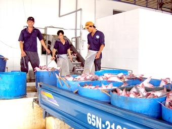 Chuyển từ lượng sang chat