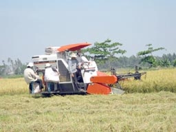 Tập trung khai thác 
thế mạnh nông nghiệp