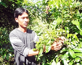 Làm gì để nâng cao chất lượng cán bộ đoàn cơ sở ?