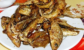 Ăn cá suối miền núi đá