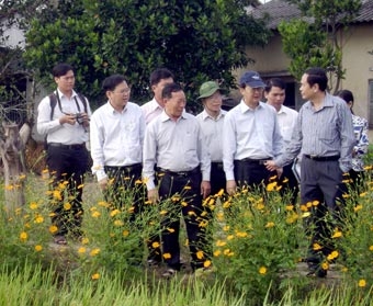 Khuyến khích nông dân ứng dụng “công nghệ sinh thái”