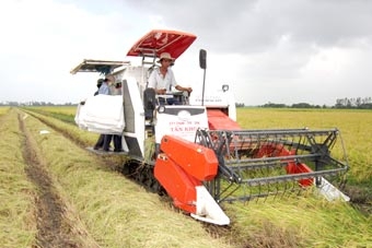 Cần tầm nhìn xa