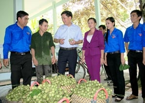 Nhân rộng các mô hình kinh tế hiệu quả