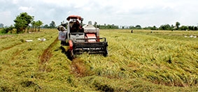Không phải là “cứu cánh” duy nhất