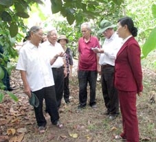 Cái Răng, Phong Điền chưa phát huy hết tiềm năng du lịch