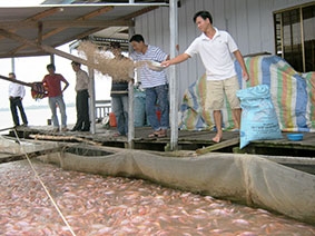 Hợp tác bảo vệ an ninh nguồn nước sông Mê Công