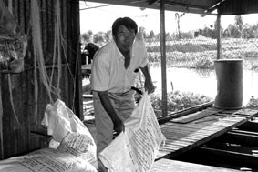 Chuyển đổi thành công nuôi cá lóc, 
cá thác lác cườm bằng thức ăn công nghiệp