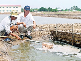 Kỳ vọng vào dự án 

nâng cấp chuỗi giá trị