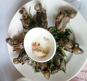 Ngọt thơm chim mía Tây Sơn