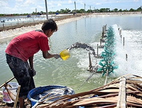 Khó nhưng không thiếu cơ hội