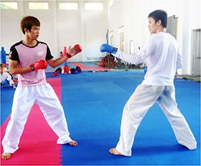 Karatedo Cần Thơ xếp thứ nhì toàn đoàn