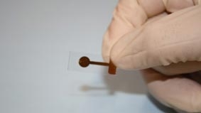 Cảm biến phát hiện dư lượng thuốc trừ sâu