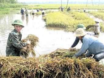 “NGỤ BINH Ư NÔNG” THỜI PHONG KIẾN