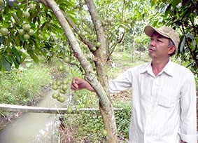 Đẩy mạnh xây dựng mô hình “làm theo” gương Bác