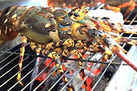 Tôm hùm Xuân Đừng