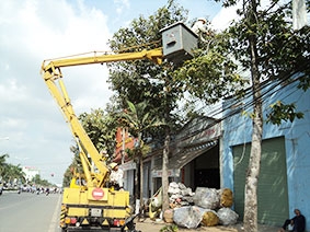 Tạo mảng xanh đặc thù cho đô thị Cần Thơ