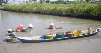 Kiên Giang:  Xóa nghèo nhờ nuôi thủy sản dưới tán rừng phòng hộ