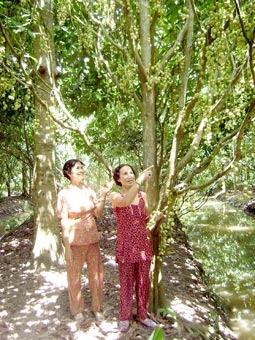 Liên kết để quảng bá thương hiệu