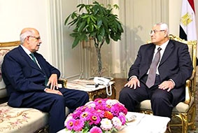 Lãnh đạo lâm thời Ai Cập tìm cách 

kiểm soát khủng hoảng