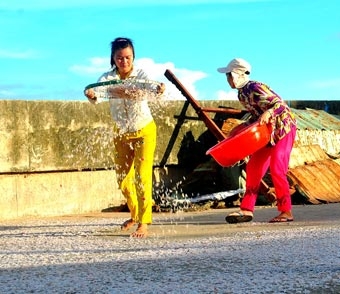 Rộn ràng mùa ruốc biển