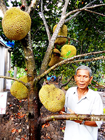 Học Bác tính cần cù, sáng tạo