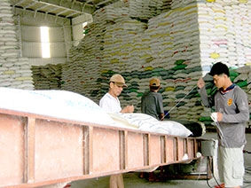 Định vị lại thị trường lúa gạo