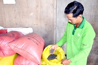 Nhà máy không mua đay, 
người dân điêu đứng