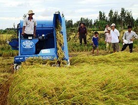 Hợp tác để phát triển