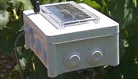 Flow-Aid giúp nông dân tiết kiệm lượng nước tưới tiêu