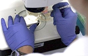 Bước tiến mới 

trong điều trị mù lòa