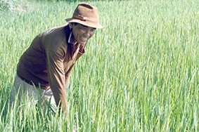 Bất chấp khuyến cáo, hàng trăm 

hộ dân có nguy cơ mất trắng