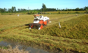 Vạch lộ trình tái cơ cấu 

ngành nông nghiệp