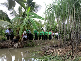 Ngành mía đường hướng đến 

nâng cao năng lực cạnh tranh