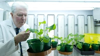 Công nghệ N-Fix giúp giảm 
sử dụng phân bón nông nghiệp