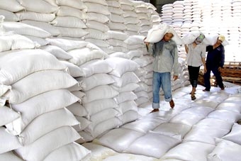 Hiệu ứng từ quyết định gia hạn thu mua tạm trữ lúa gạo