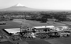 New Zealand cảnh báo nguy cơ ngộ độc thực phẩm từ các sản phẩm sữa