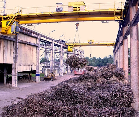 Mở ra nhiều triển vọng phát triển