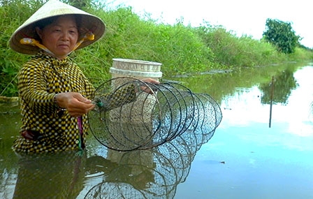 Bán đảo Cà Mau <br><br>

Giữa đôi dòng mặn - ngọt