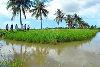 Giữa đôi dòng mặn - ngọt