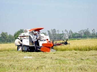 Cần chính sách đầu tư thỏa đáng