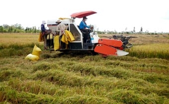 Giữa đôi dòng mặn - ngọt