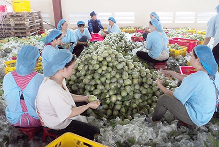 Cần lộ trình phù hợp