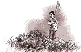 Thằng bé 

   chăn vịt