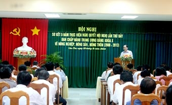 Tăng cường ứng dụng khoa học kỹ thuật, tổ chức lại sản xuất, đảm bảo đầu ra ổn định cho nông sản